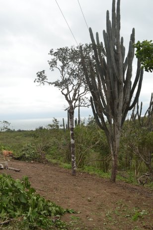 Quebrada